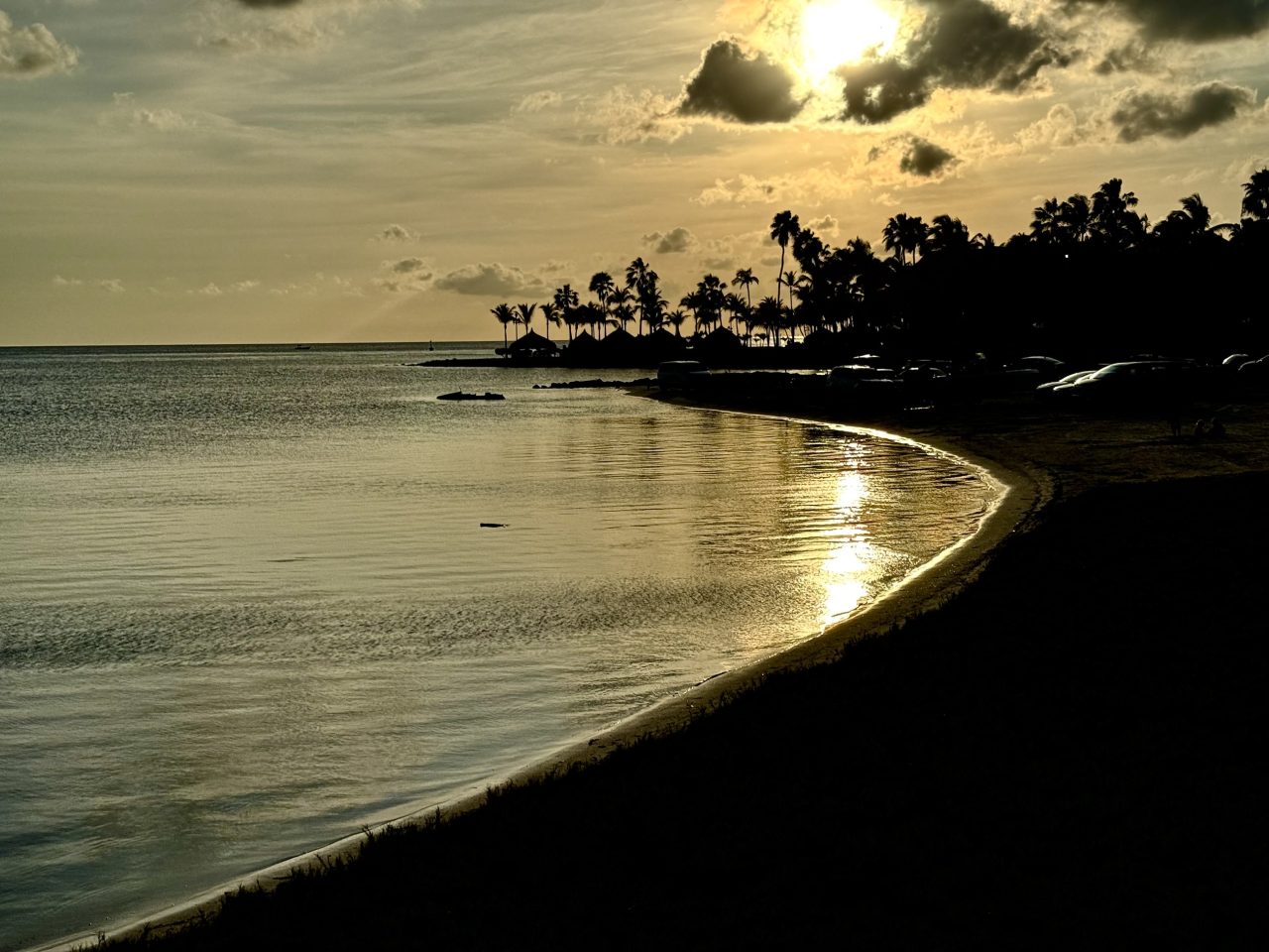 A curved sandy beach at dusk, palms in silhouette and the last light on the water