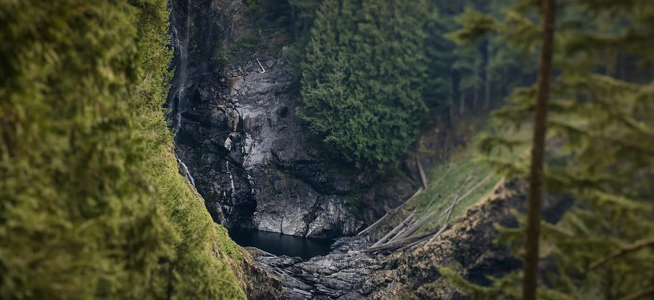 A thin waterfall down a dark cliff into a pool, mossy slope and firs around it
