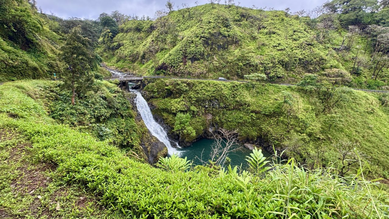 A waterfall dropping into a pool at the head of a green gorge