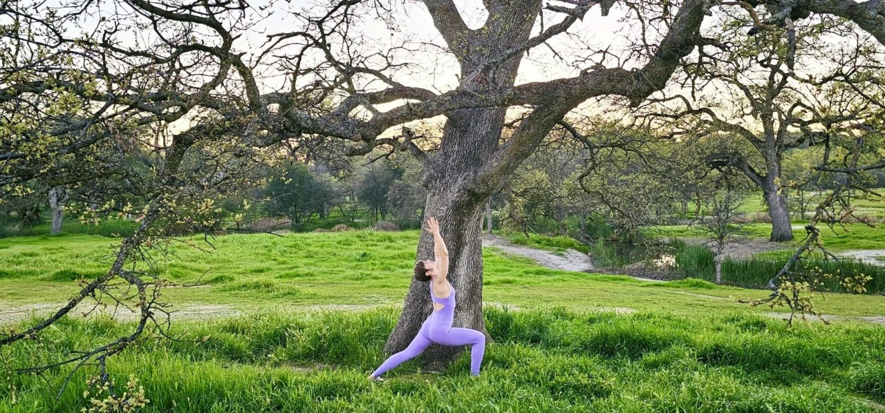 Masha Steiner-Renoir holding a warrior yoga pose in a green meadow beneath a spreading oak at dusk.
