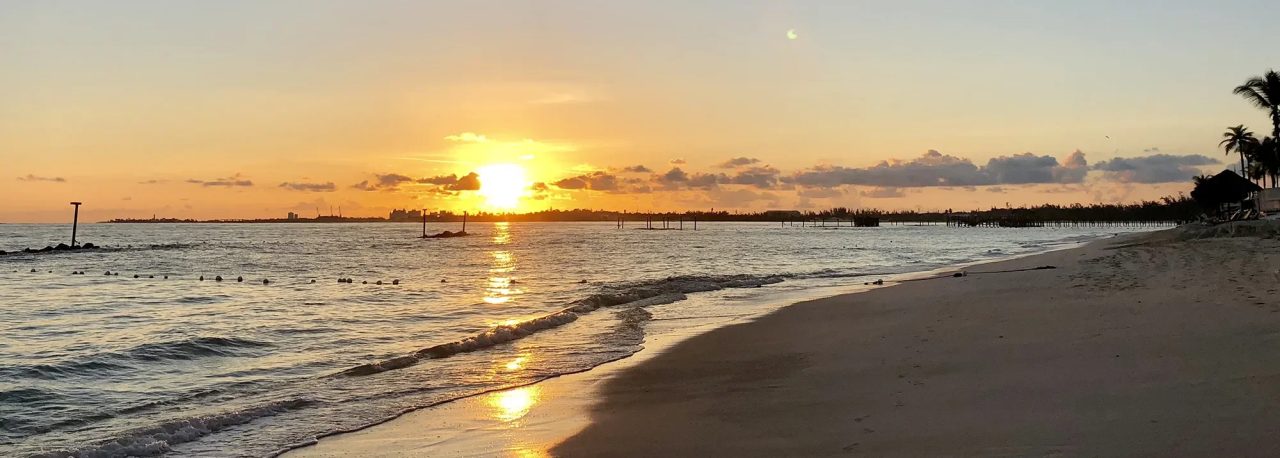Background photograph of a sunset used behind the patient reflections section